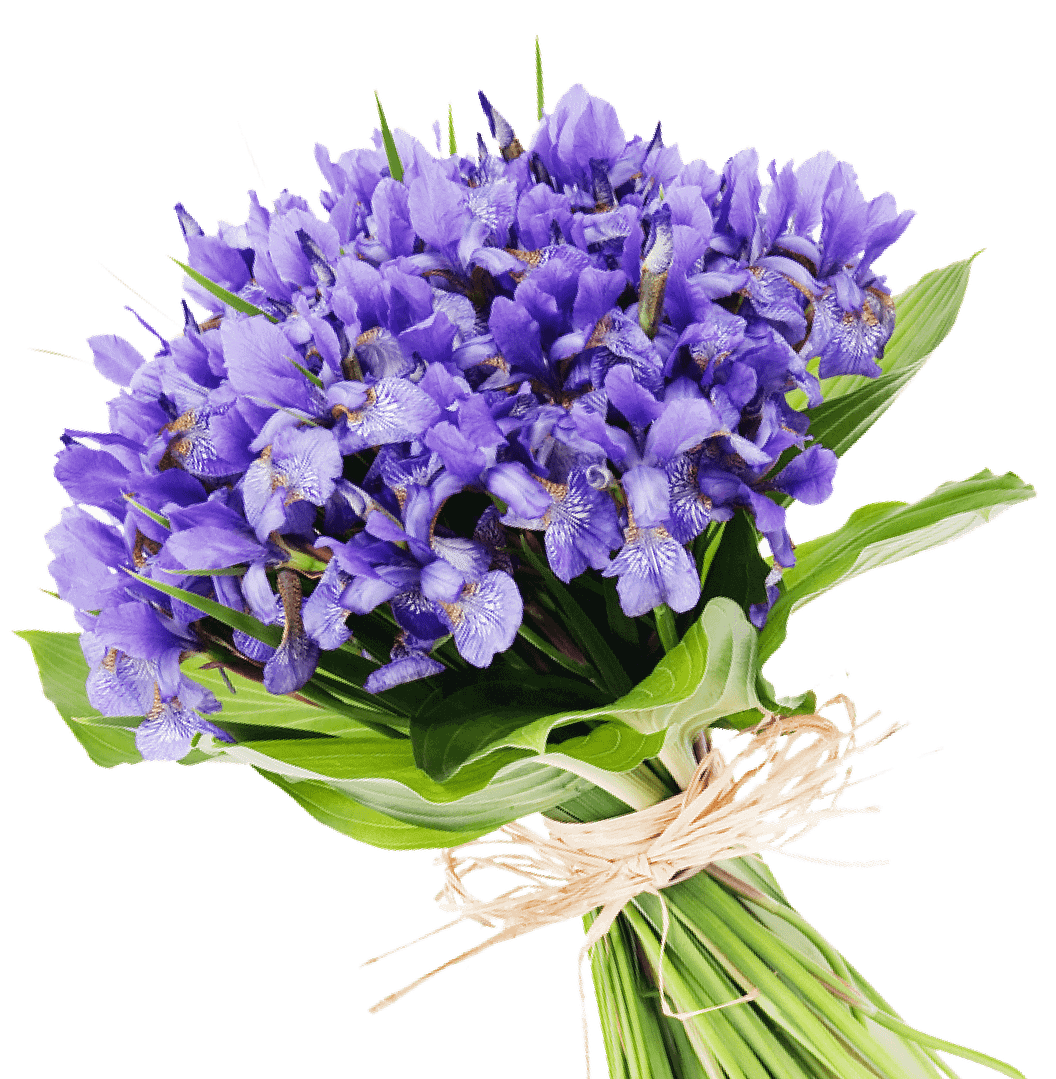 Front Page bouquet